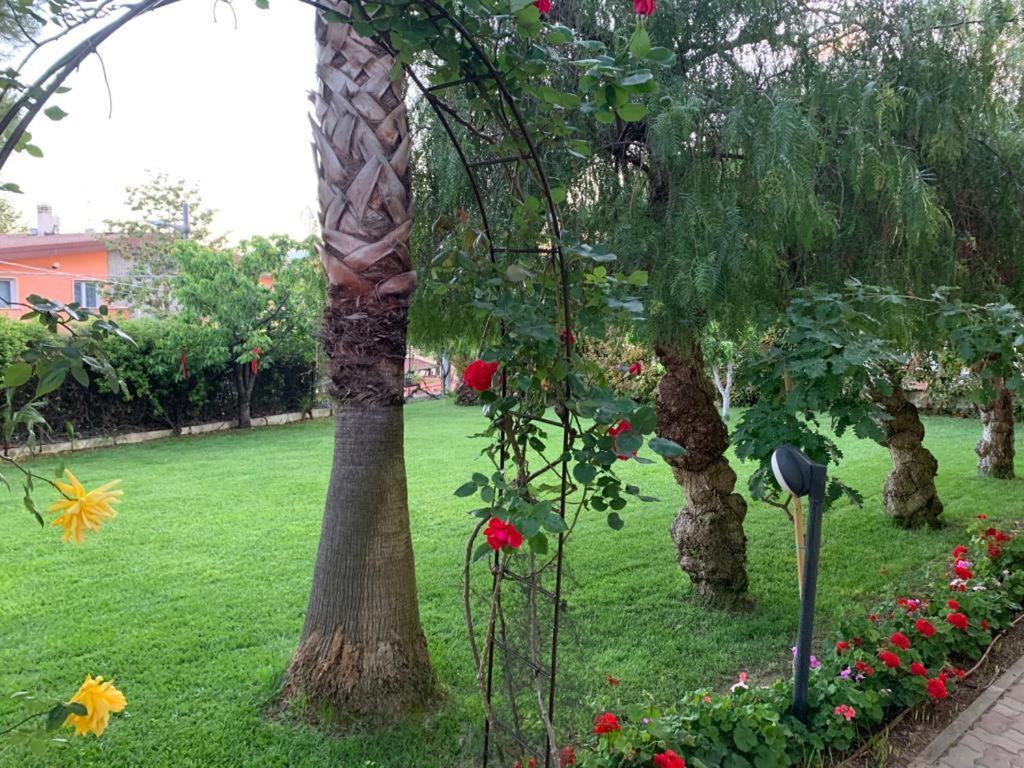 B&B The Garden Pescara Dış mekan fotoğraf