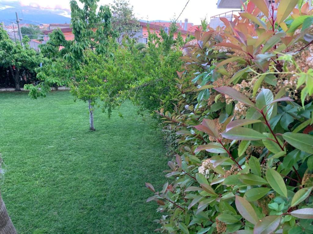 B&B The Garden Pescara Dış mekan fotoğraf